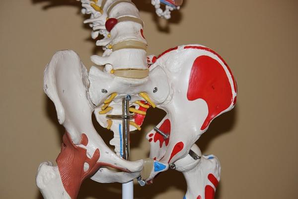 Physical Therapy Services: Hip Replacement Benefits and Recovery